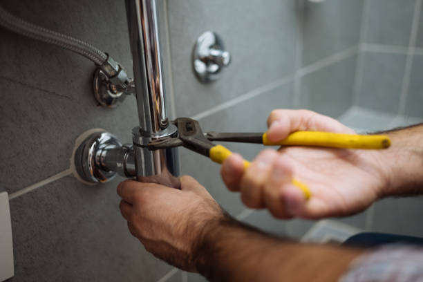Best Plumbing Services Near Me  in Kentwood, MI