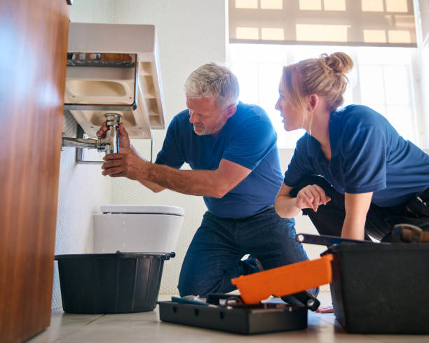 Best Residential Plumbing Services  in Kentwood, MI